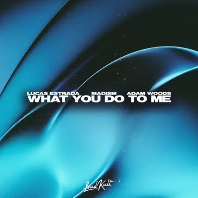 Lucas Estrada feat. Madism & Adam Woods - What You Do To Me
