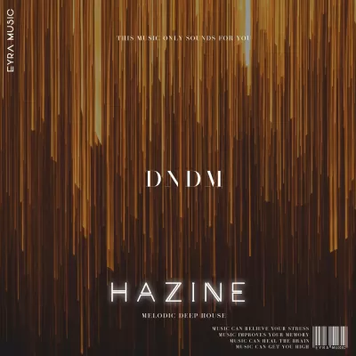 DNDM - Hazine