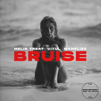 Melis Treat feat. Vitul & Manelizz - Bruise