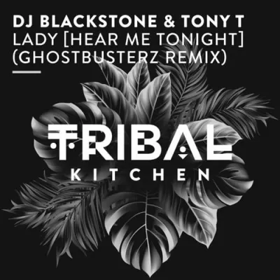 DJ Blackstone & Tony T - Lady (Hear Me Tonight) (Ghostbusterz Remix)