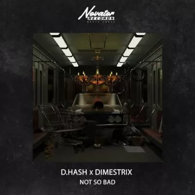 D.Hash feat. DIMESTRIX - Not So Bad