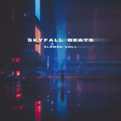 Skyfall Beats - Night Vibe (Slowed)