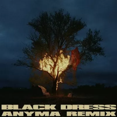 070 Shake - Black Dress (Anyma Remix)